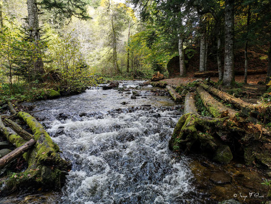 En allant à la cascade du Rossignolet - Le ruisseau de l'enfer - le Mont Dore - Massif du Sancy - Auvergne - France