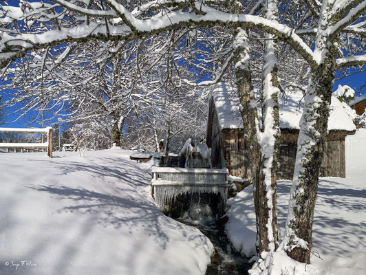 Le moulin à eau - Murat le Quaire - Massif du Sancy - Auvergne - France 
