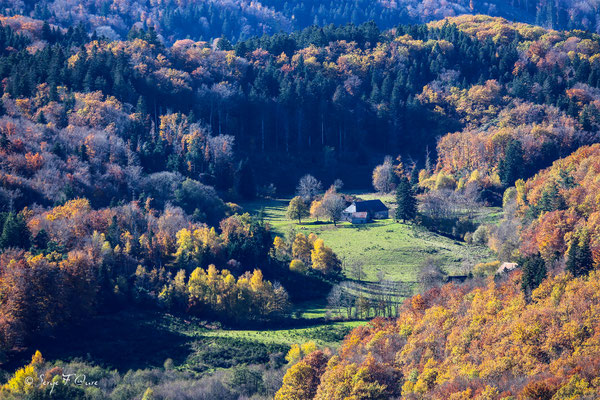 Lieu-dit Chibet-  Saint-Sauves d'Auvergne - Vu de Murat-le-Quaire - Massif du Sancy - France