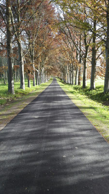 Chemin en enrobé noir sans bordures - TTA