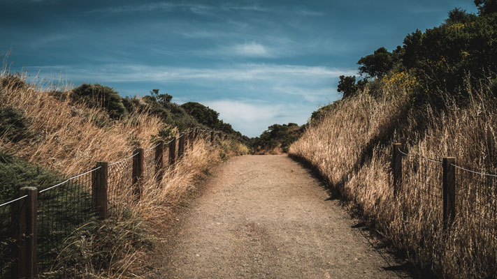 Chemin sable naturel