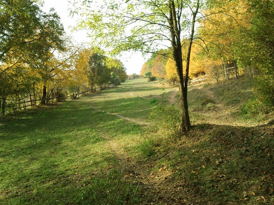 Wallachkoppel