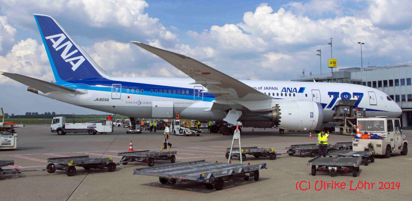 JA805A All Nippon Airways Boeing 787-8 Dreamliner