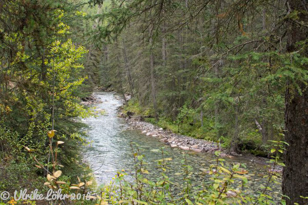 Bow Valley