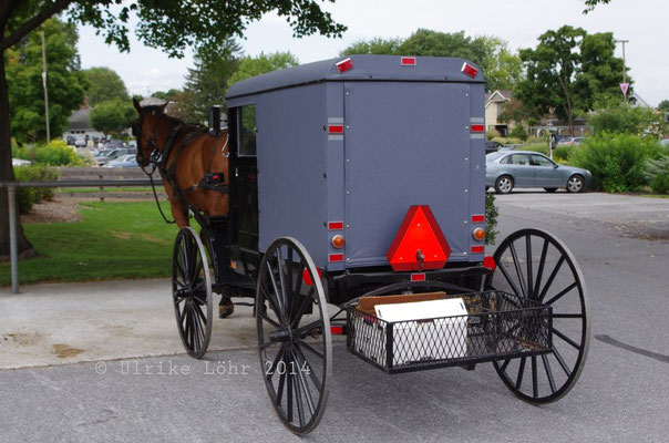 Amish Buggy