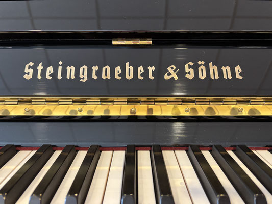 Piano Dubbel - gebrauchtes Steingraeber & Söhne Klavier