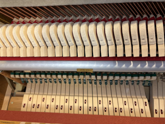 Piano Dubbel - gebrauchtes Seiler Klavier