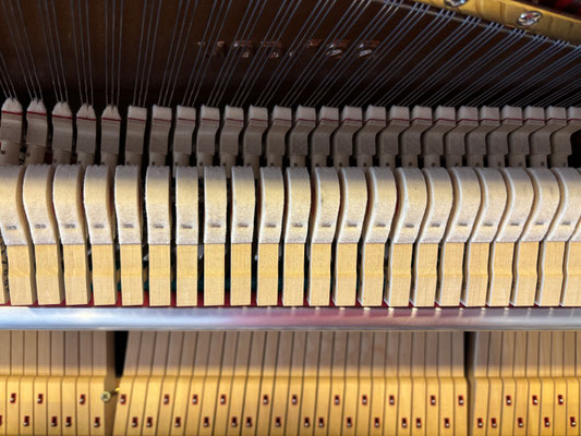 Piano Dubbel - gebrauchtes Steingraeber & Söhne Klavier