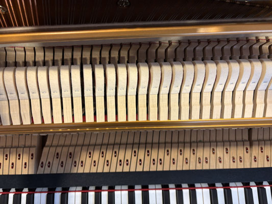 Piano Dubbel - gebr. Seiler Klavier Jubilee