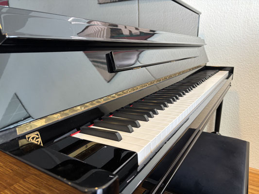 gebrauchtes Seiler Klavier - Piano Dubbel