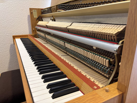 Piano Dubbel - gebrauchtes Seiler Klavier