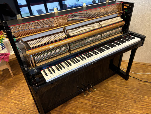Piano Dubbel - gebr. Seiler Klavier Jubilee