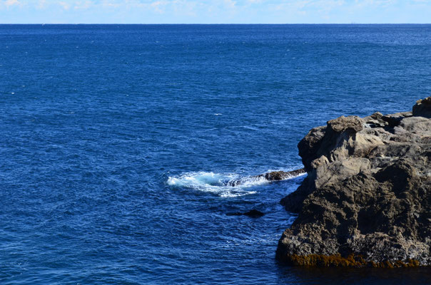 2017.1.15千葉・太海（仁右衛門島）