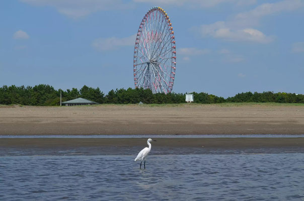 2014.9.12葛西海浜公園