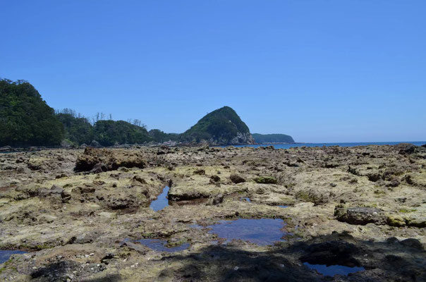 2013.7.8伊豆下田　鍋田湾（故・横濱康継先生の取材に同行）