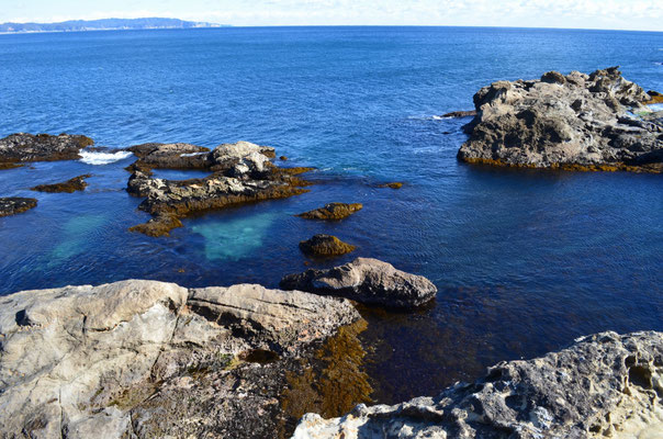 2017.1.15千葉・太海（仁右衛門島）