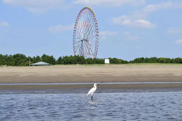 2014.9.12葛西海浜公園