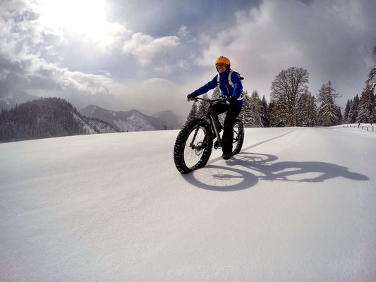 Alpine Fatbike Powder