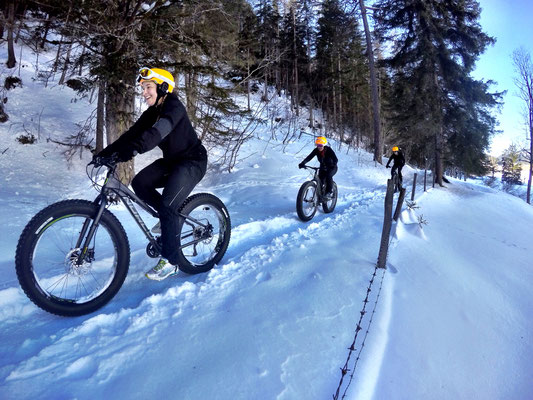 Alpine Fatbike Trail