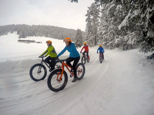 Alpine Fatbike Rösteralm
