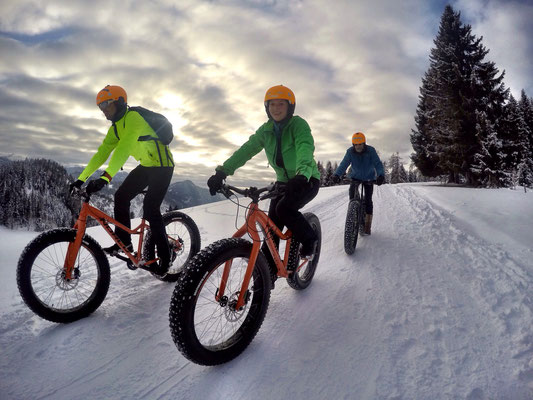 Alpine Fatbike Sonnenalm