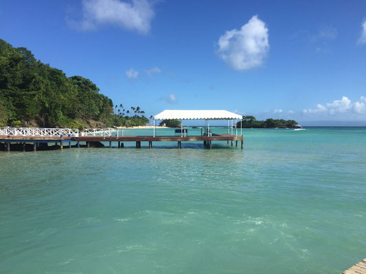 Dance the Joy - Las Terrenas Urlaub - DomRep - Gabriele Schlick