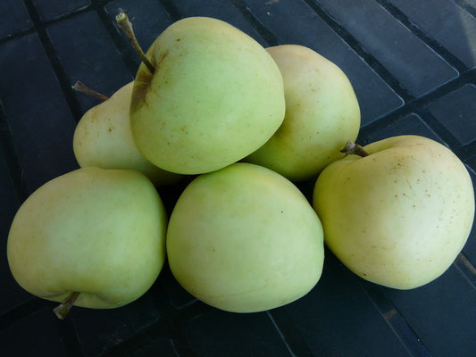 Pommes de la maison Gerday (Verlaine sur Meuse)