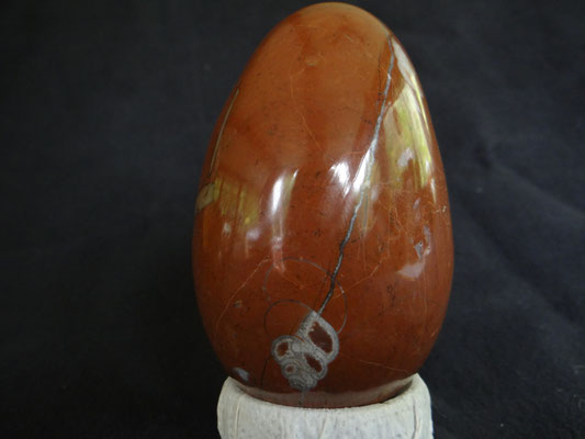Ein steinernes Ei mit fossilen Turmschnecken - Details auf den folgenden Bildern