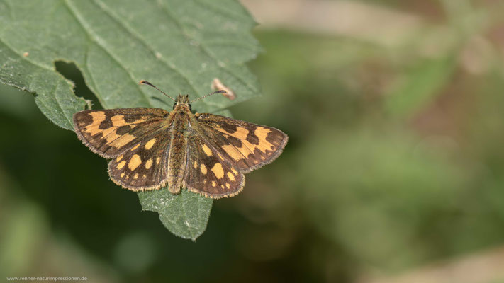 Kreis Oranienburg, 17.05.2018