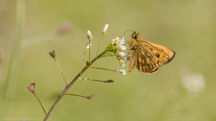 Kreis Oranienburg, 17.05.2020
