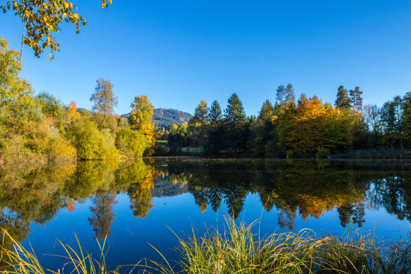 Herbststimmung Rinwiler Weiher