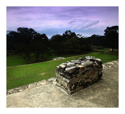 Fotografía Eduardo Rioja ® Palenque. Chiapas, México.