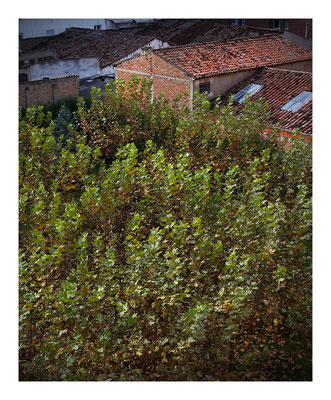 La vista desde el piso de mi primo.Fotografía Eduardo Rioja ® Logroño, España.