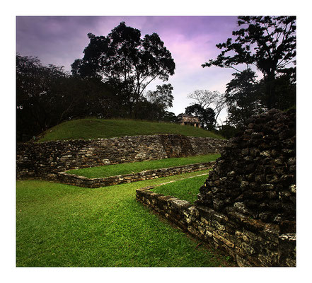 Fotografía Eduardo Rioja ® Palenque. Chiapas, México.