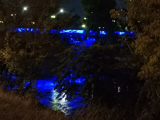 Abendstimmung Donaukanal 2024