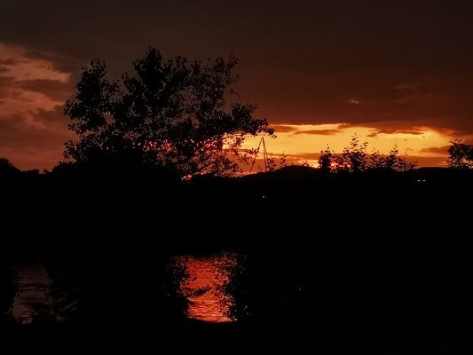 Abendstimmung Neue Donau 2024