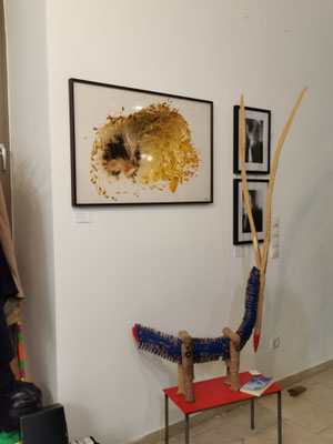 Review, part 61, vienna art market, october 2024