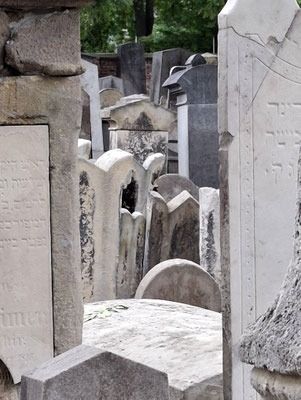 jüdischer Friedhof Währing 2025