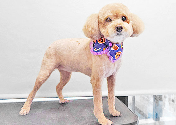 富永モカちゃん