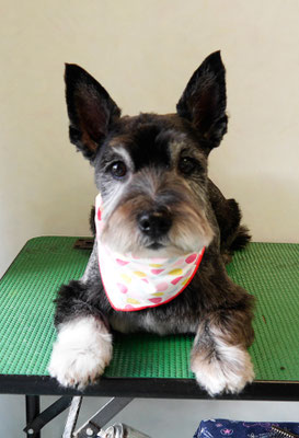 蔵薗ヒメちゃん