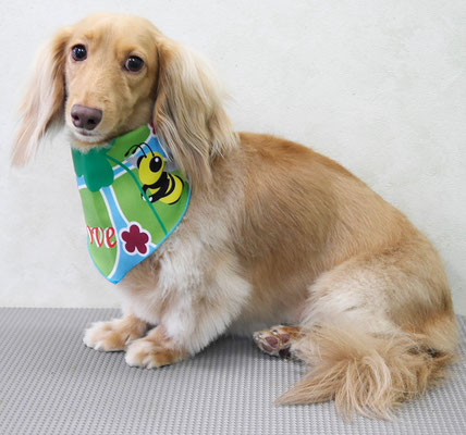 片山マルルちゃん