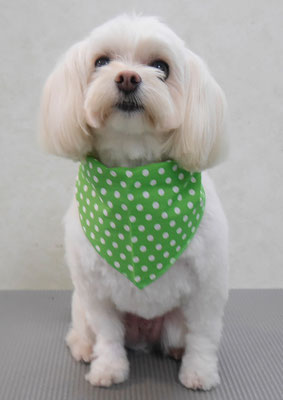 大脇ココアちゃん