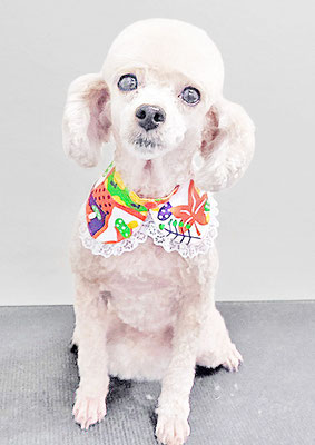 新留モコちゃん