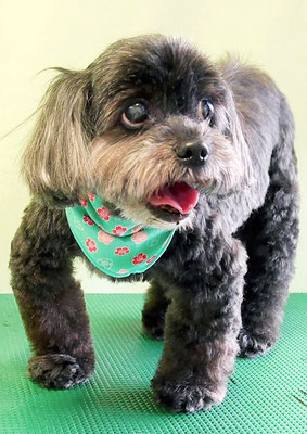 八郷ベンちゃん