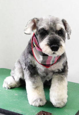 徳地ティアちゃん