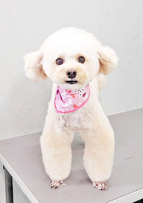 山村レオンちゃん