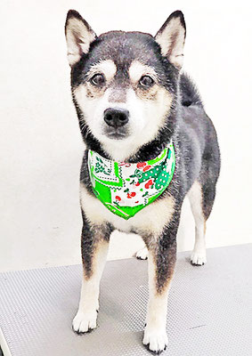 岩﨑レイちゃん