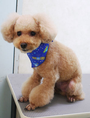 肥田クゥちゃん