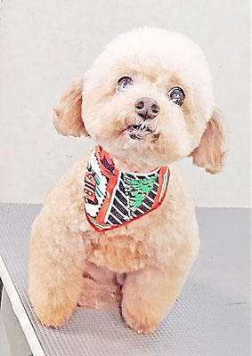 福田ダイアリーちゃん