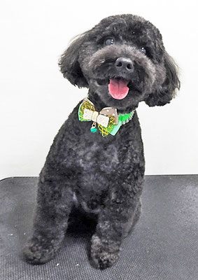 本坊ダノちゃん